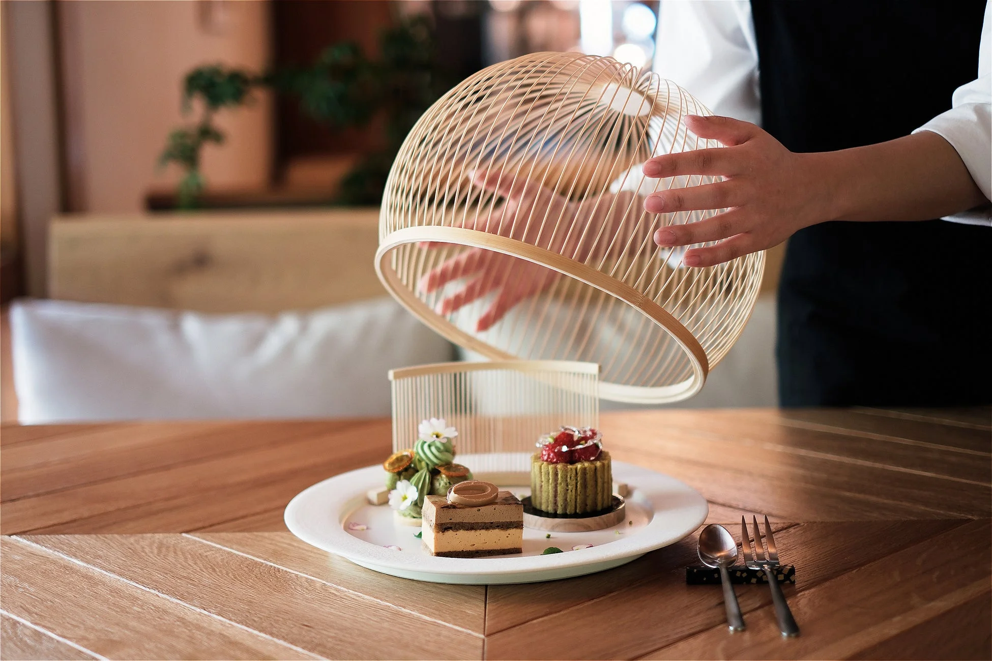 竹製クロッシュのデザート