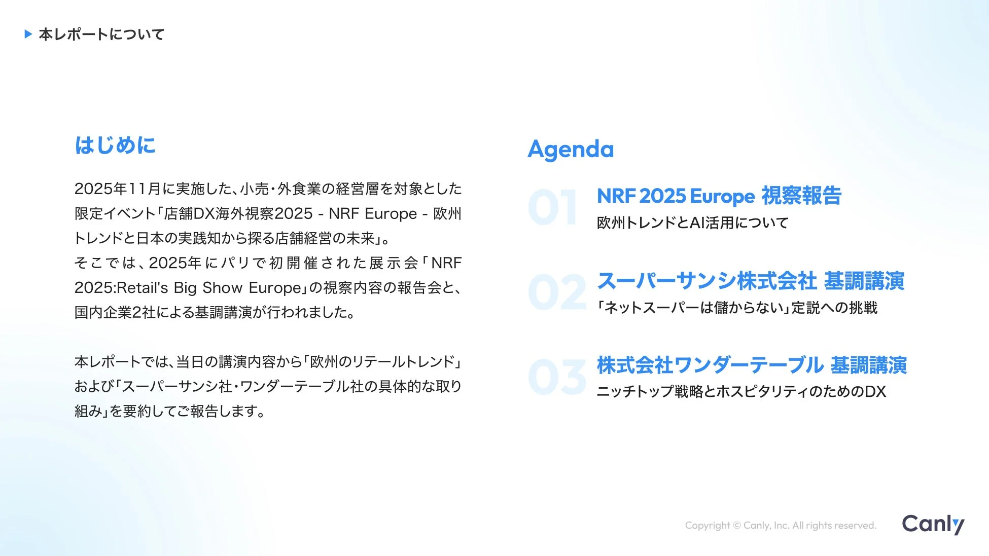 本レポートについて