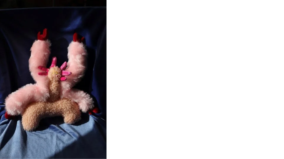 チルっと、モフっと Weird buddies!の作品