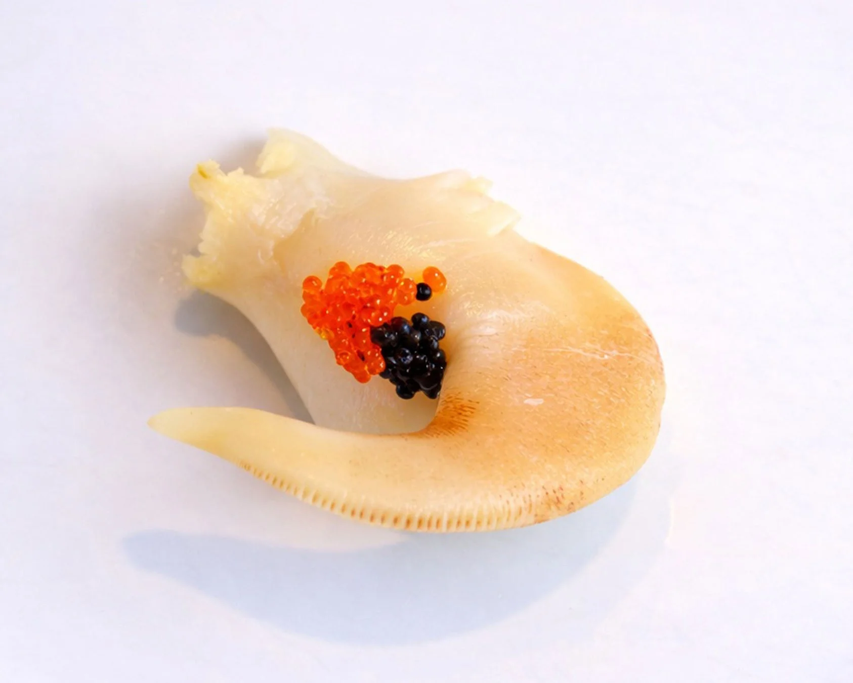 ミル貝とキャビア