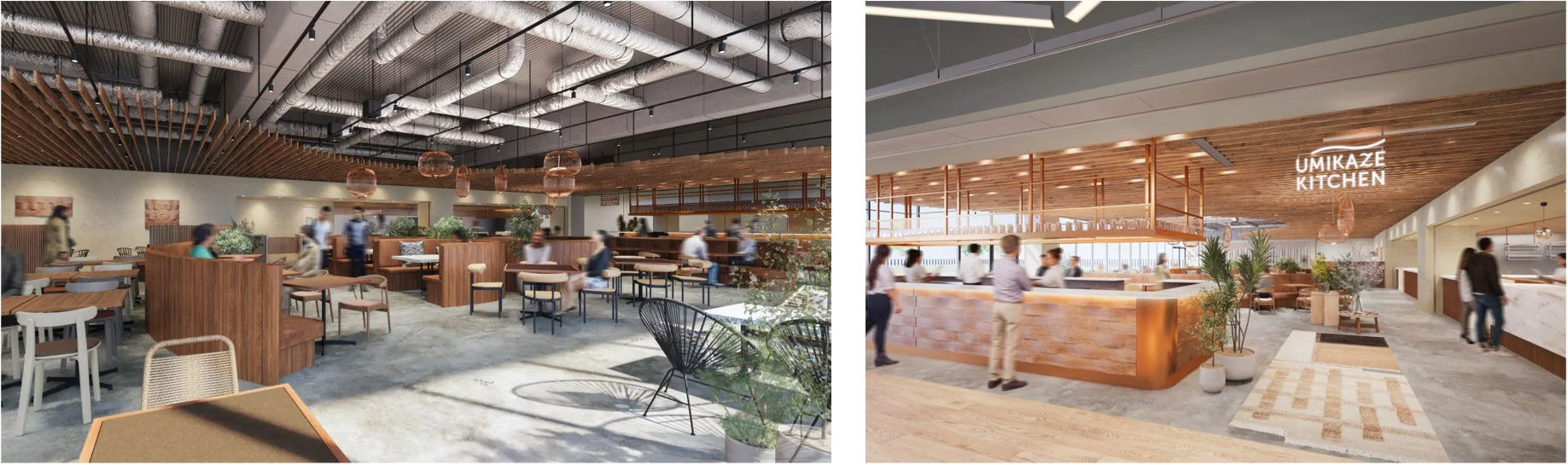 UMIKAZE KITCHENのモダンな内装