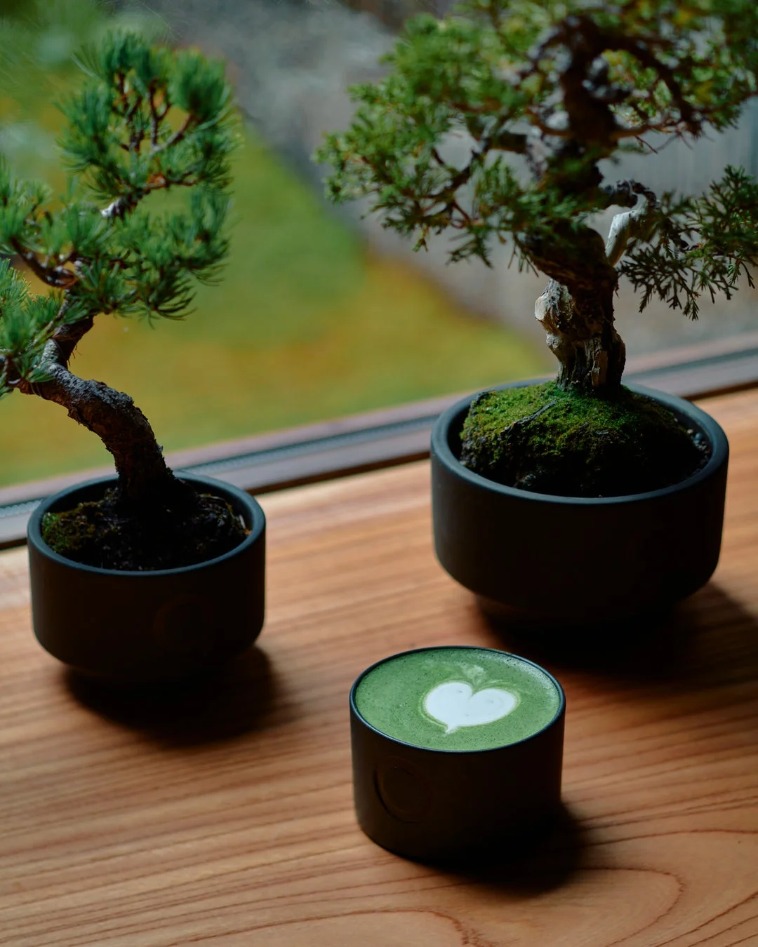窓辺の木製テーブルに置かれた盆栽と抹茶ラテ