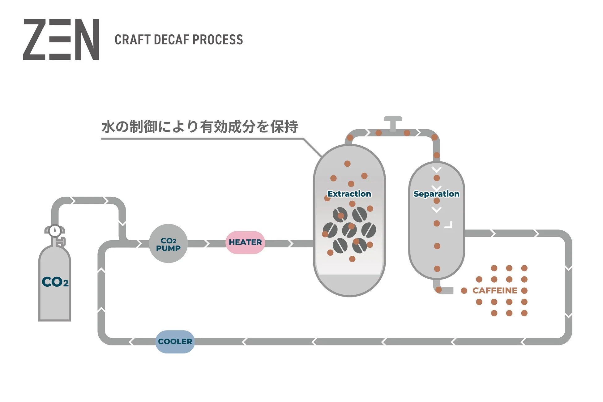 カフェイン除去プロセス図