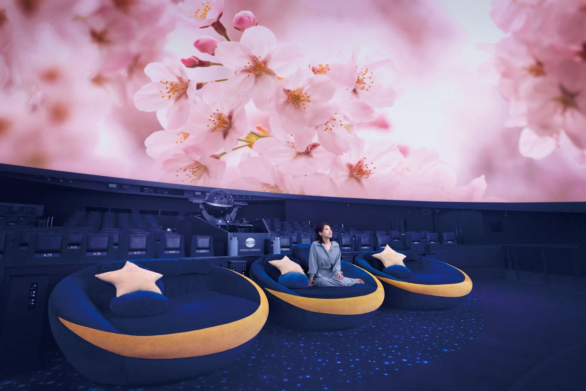 プラネタリウム天空の桜ウェルカムドーム