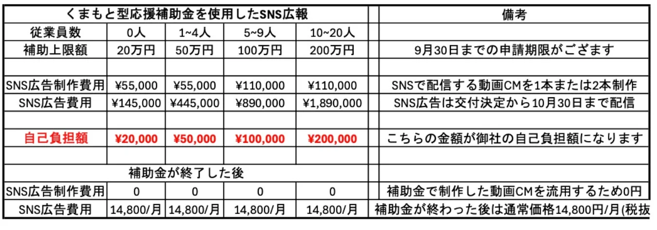 補助金活用時の自己負担額と終了後の運用モデル