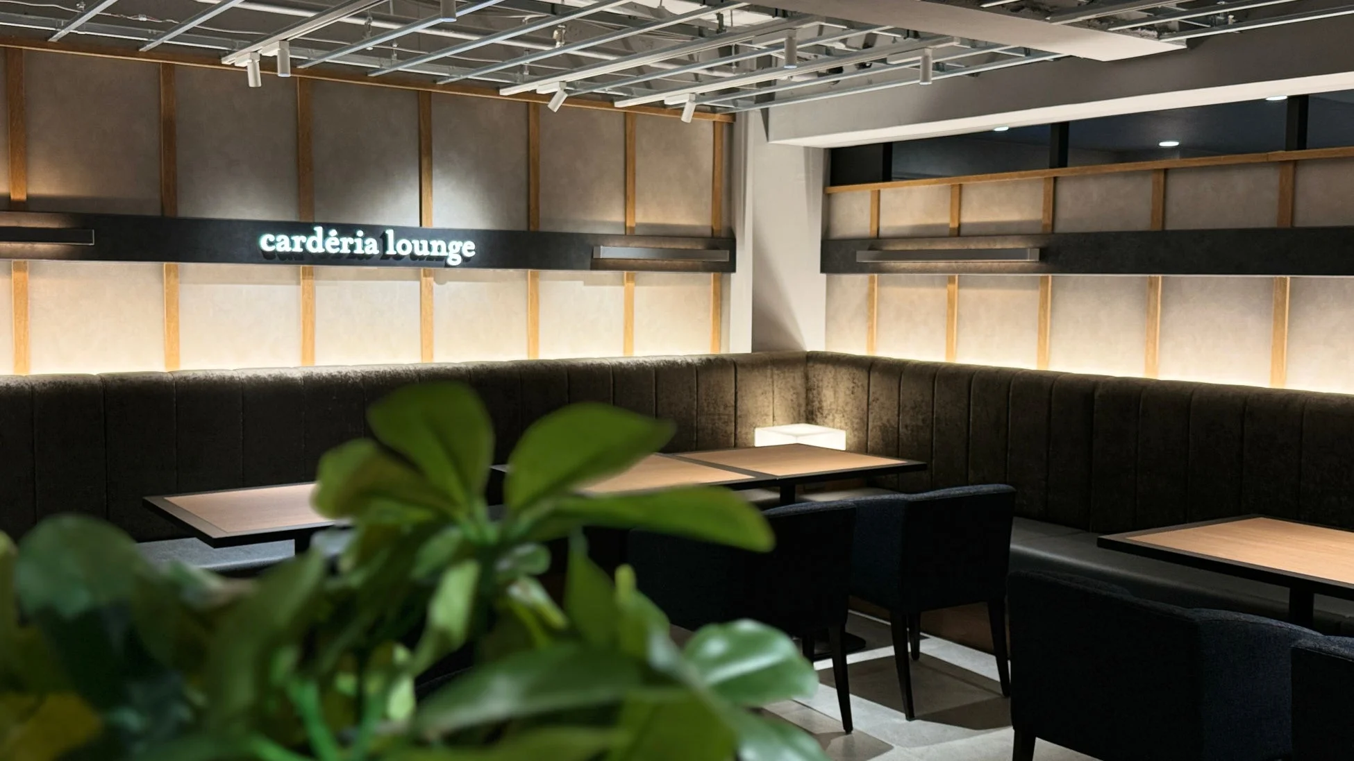 carderia lounge インテリア