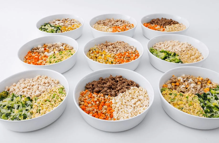 ボウルズフレッシュドッグフードの盛り付け例