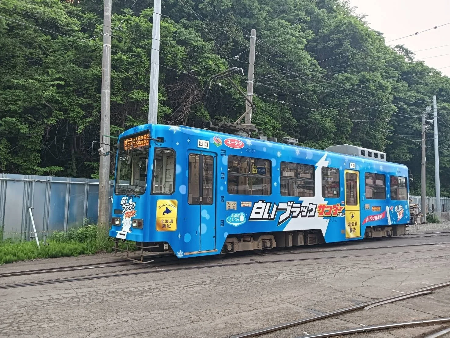 札幌市路面電車「白いブラックサンダー号」