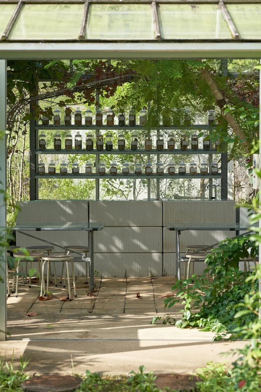 mitosaya温室/カフェ