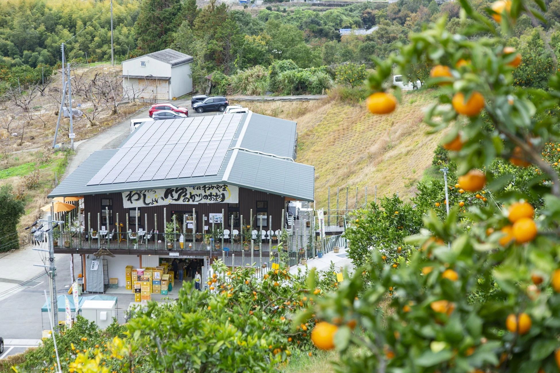観音山フルーツガーデンの畑の様子