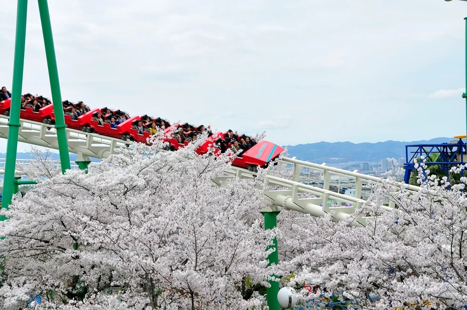 桜とジェットコースター