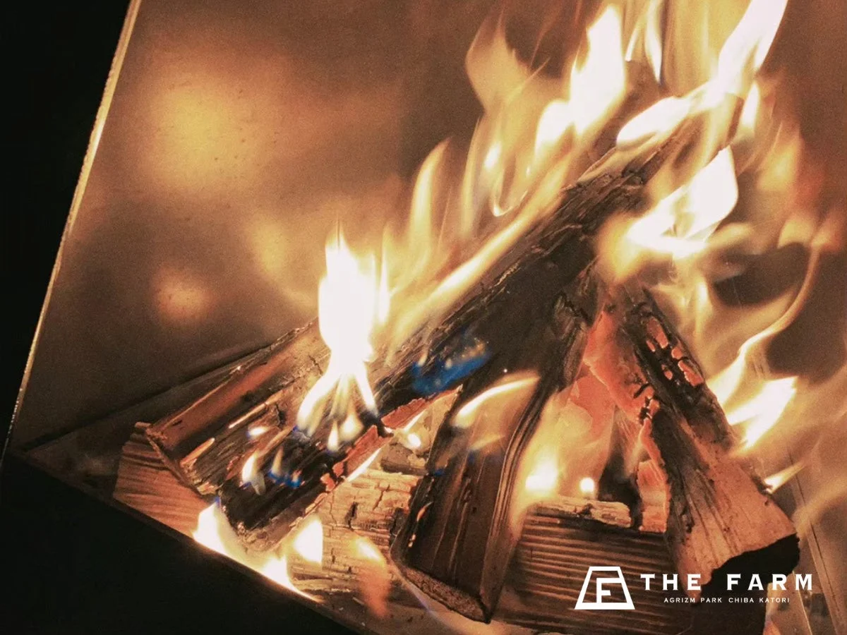 焚き火、炎、キャンプ