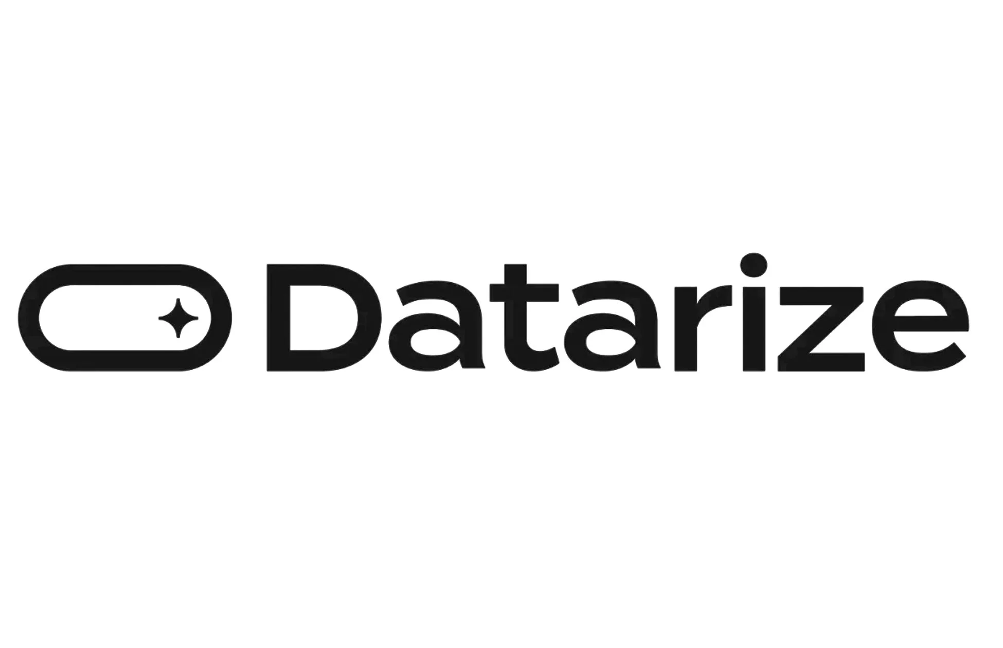 Datarizeロゴ