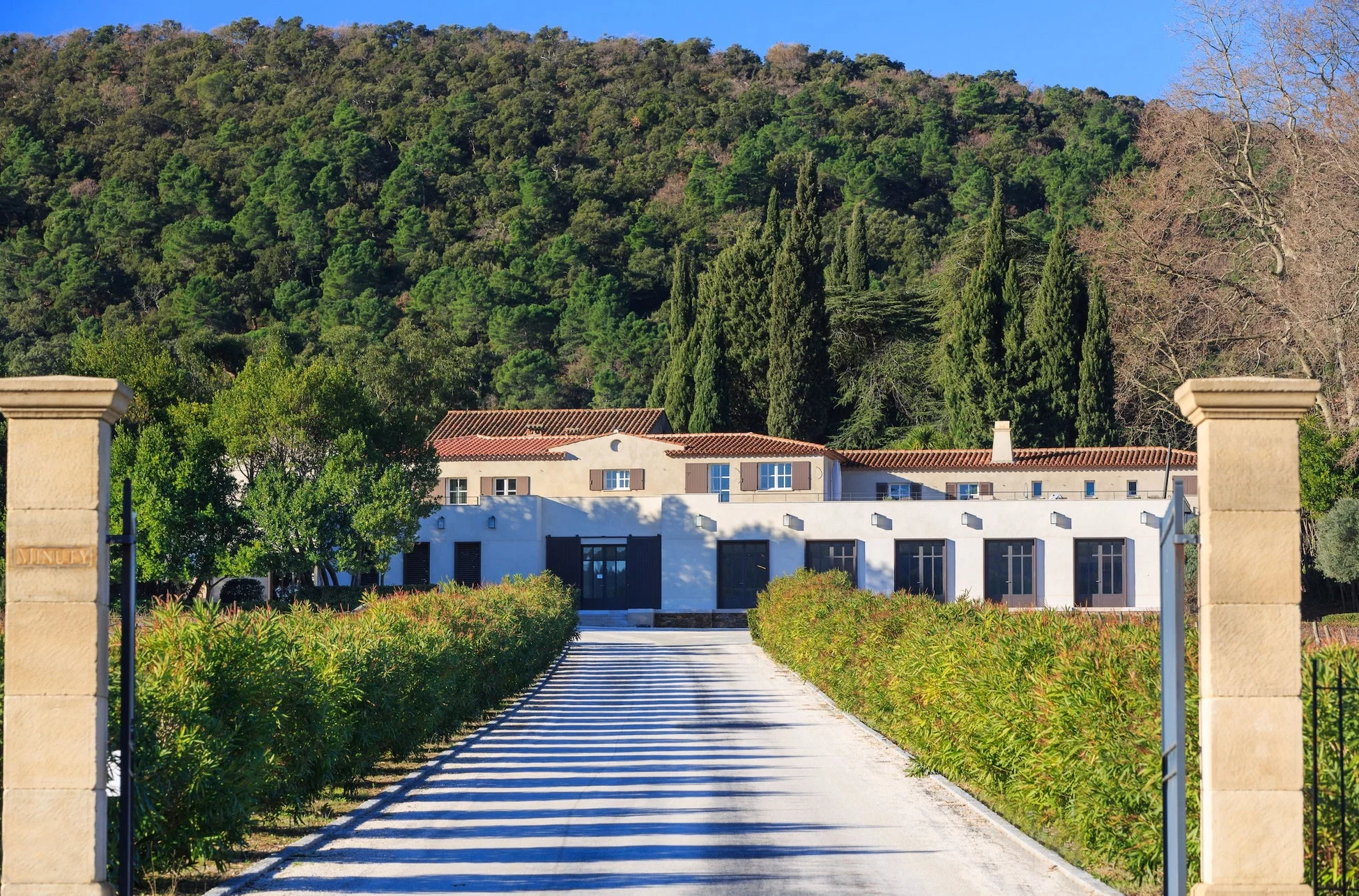 緑豊かな丘を背景に、瓦屋根の大きな邸宅へと続く長いドライブウェイが描かれています。ドライブウェイには特徴的な影が伸び、両脇には手入れされた植栽があり、開放感のある美しい風景です。