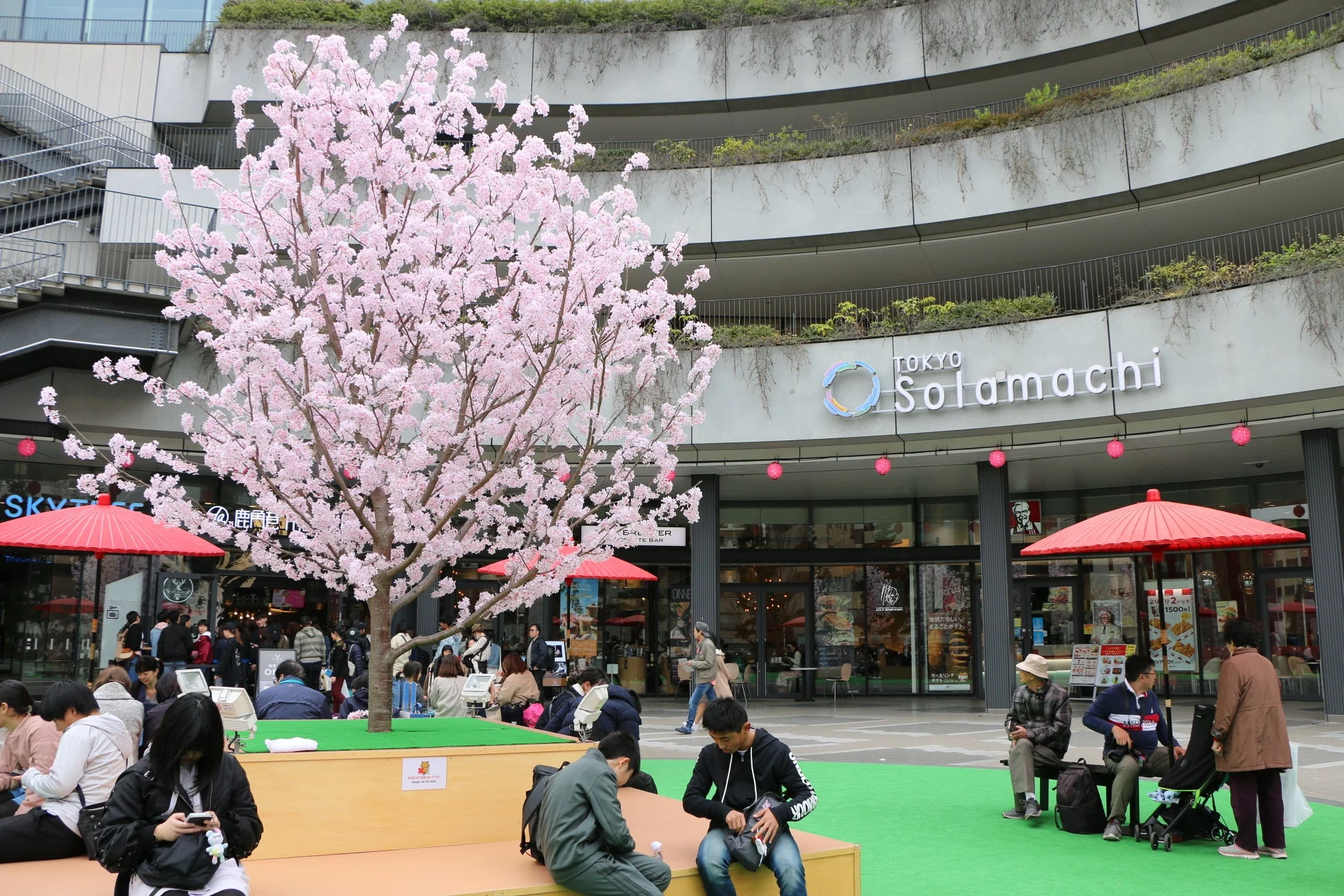 東京ソラマチさくらまつり