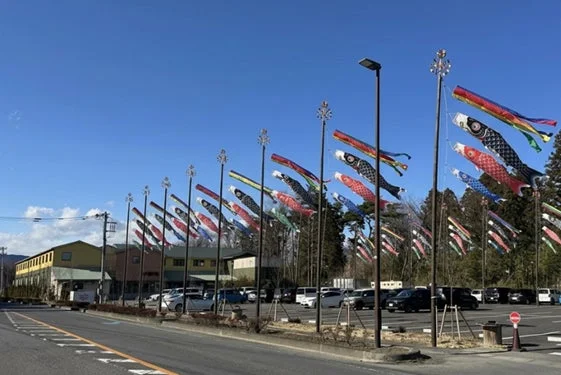青空の下、色とりどりのこいのぼりが風になびいている風景です。
