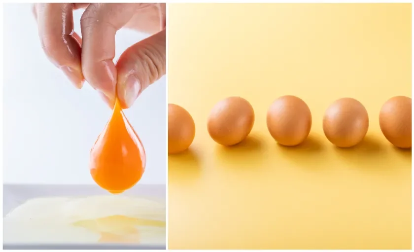 卵黄を卵白から分離する様子と、鮮やかな黄色の背景に複数の殻付き卵