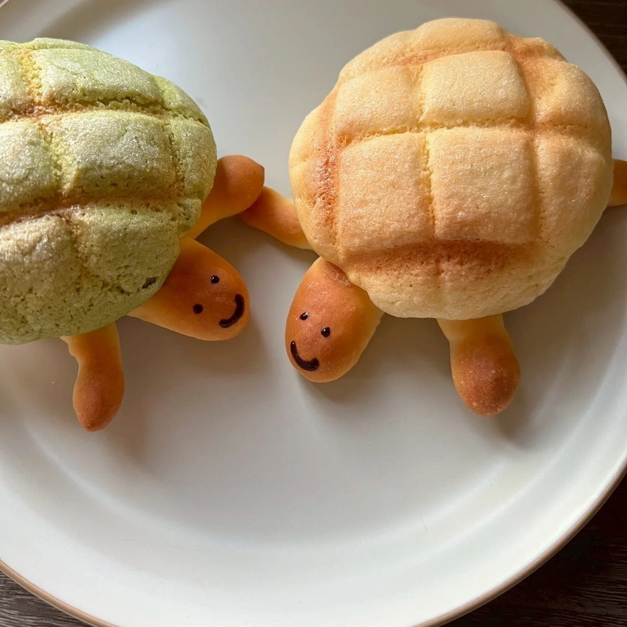 白い皿の上に、緑色と通常の色の亀の形をしたメロンパンが2つ並んでいる