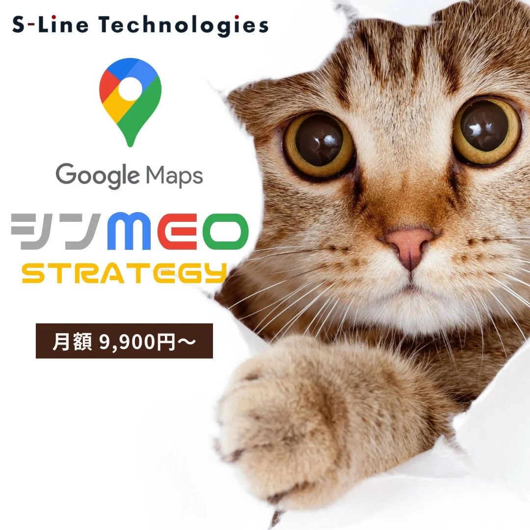 白い背景を破って顔を出している猫が印象的な画像です。