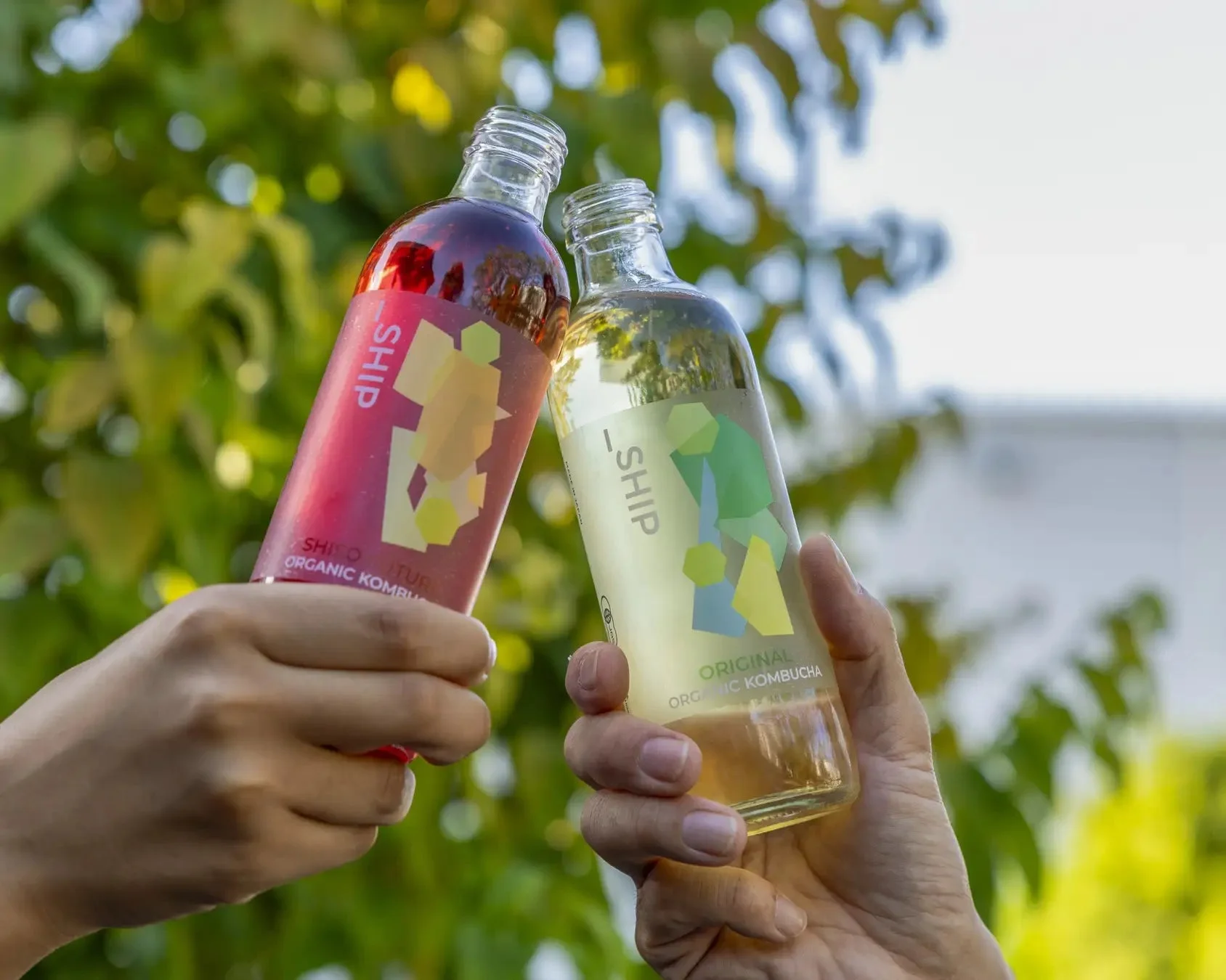 _SHIP KOMBUCHA 乾杯