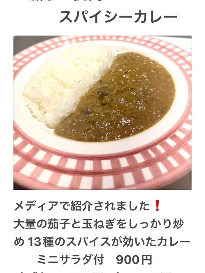 スパイシーカレー、カレーライス、茄子、玉ねぎ、スパイス、ランチ、900円、メディア紹介、ミニサラダ