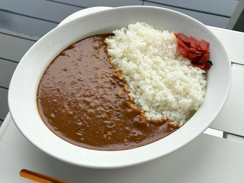 ご飯とルーが分けられたカレーライス
