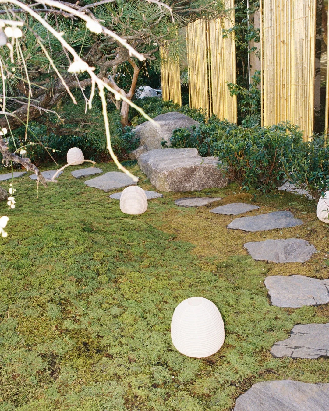 苔と飛び石が美しい日本庭園