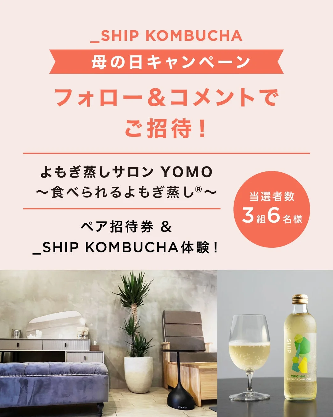 _SHIP KOMBUCHA 母の日キャンペーン