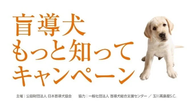 盲導犬キャンペーン告知