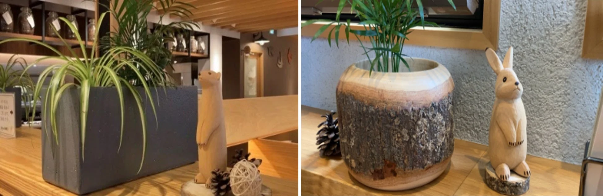 むさしの森珈琲の店内イメージ