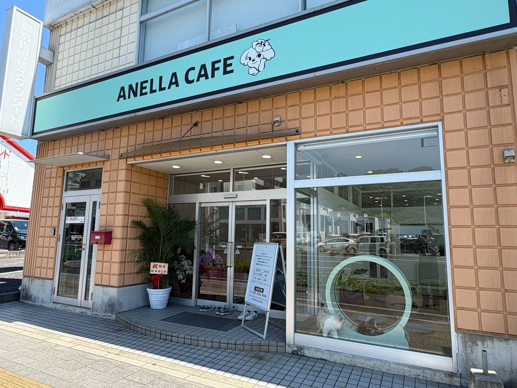 ANELLA CAFEの店舗外観