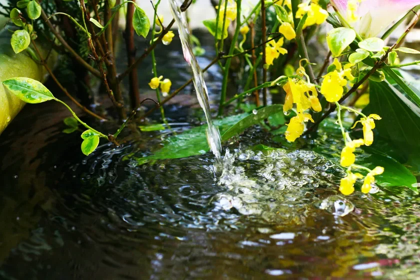 京都の食文化を支えてきた錦の湧き水