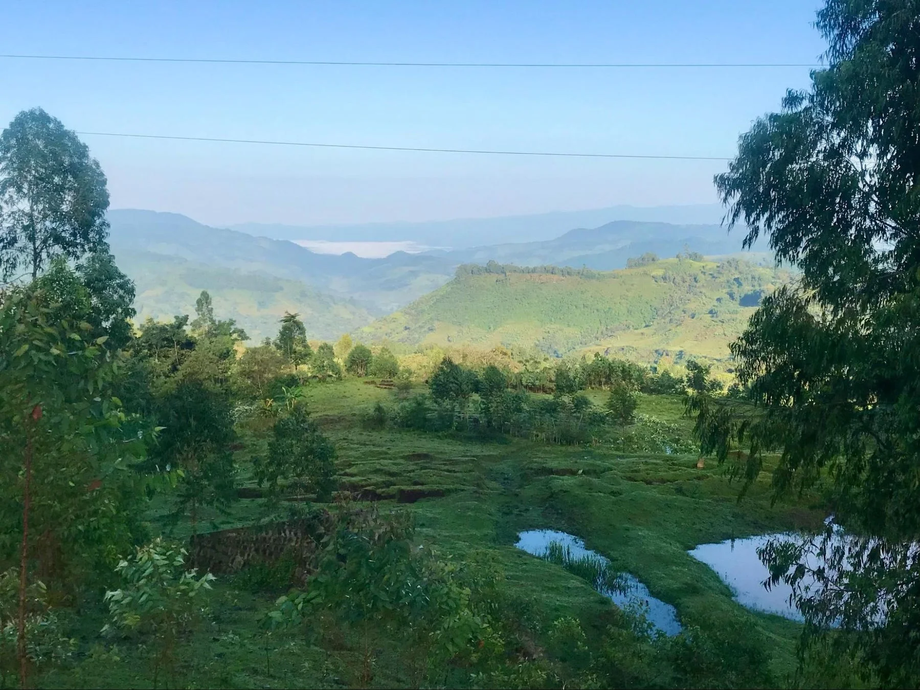 自然風景