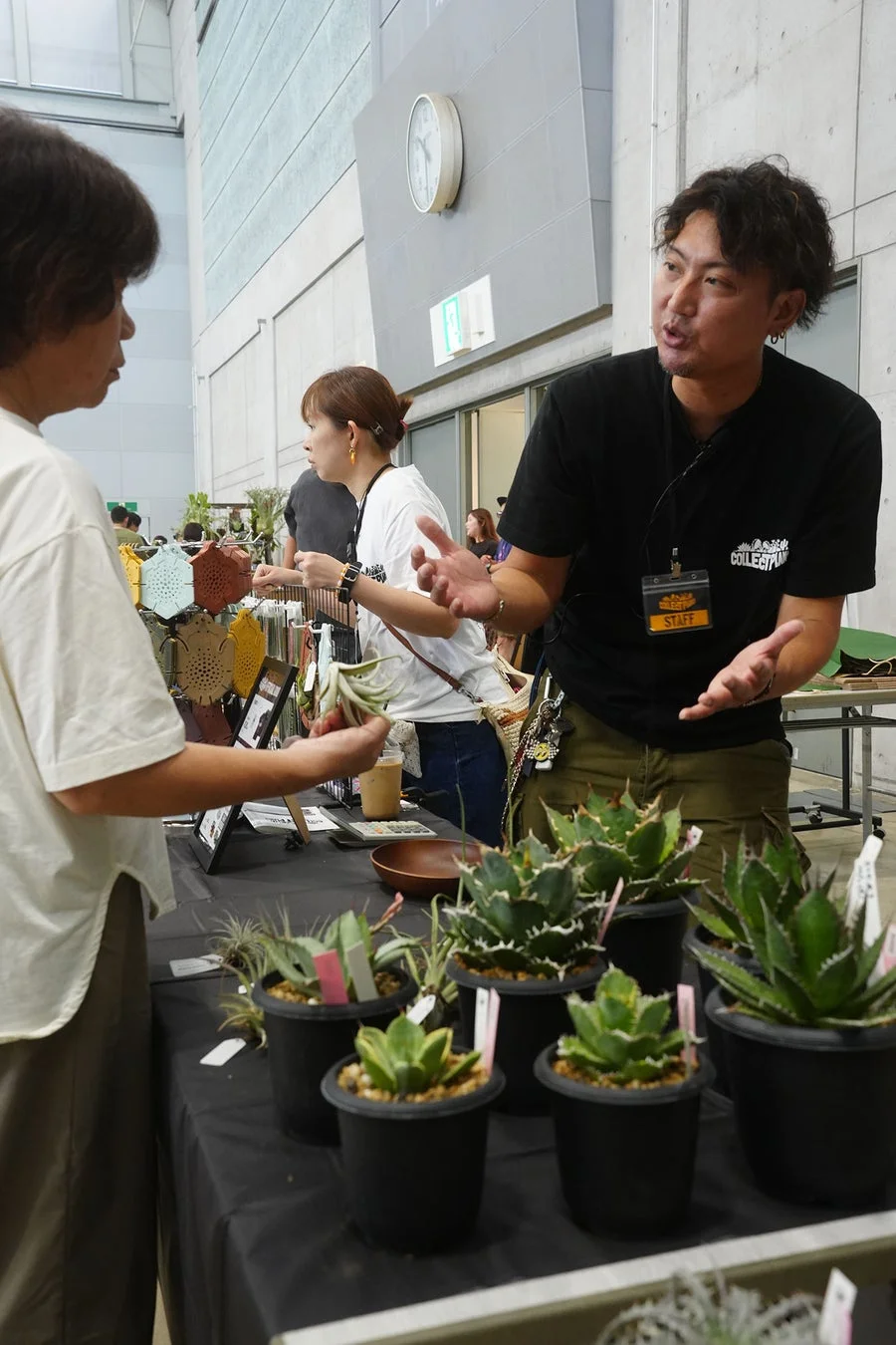 植物販売ブースの男性スタッフが女性客に植物について説明している様子