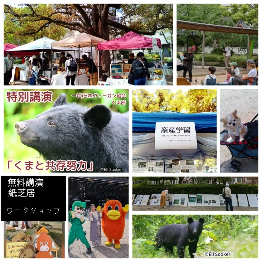 イベントの様子、講演、紙芝居