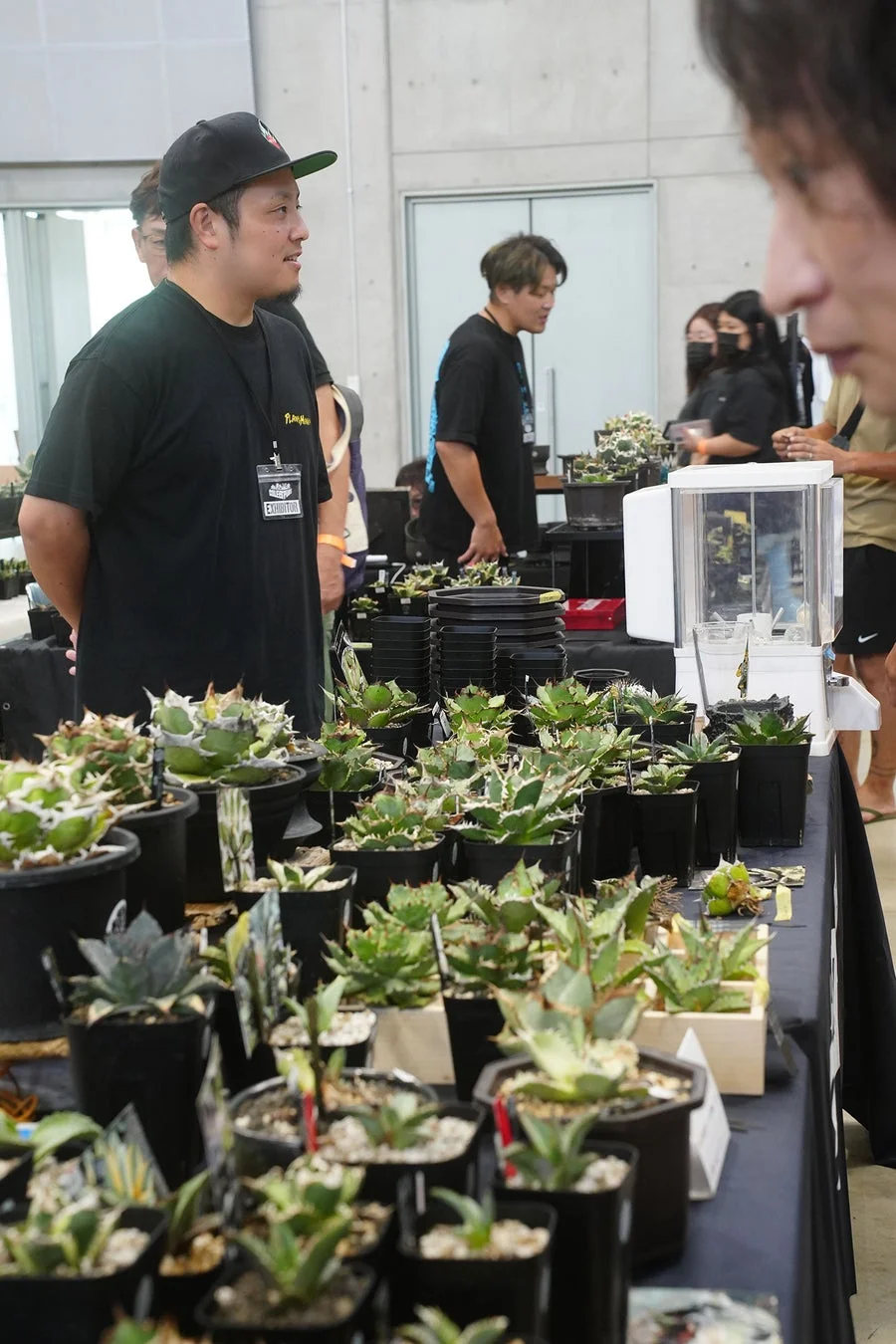 多くの鉢植えの多肉植物（アガベなど）が並べられたテーブルの周りに人々が集まっている様子