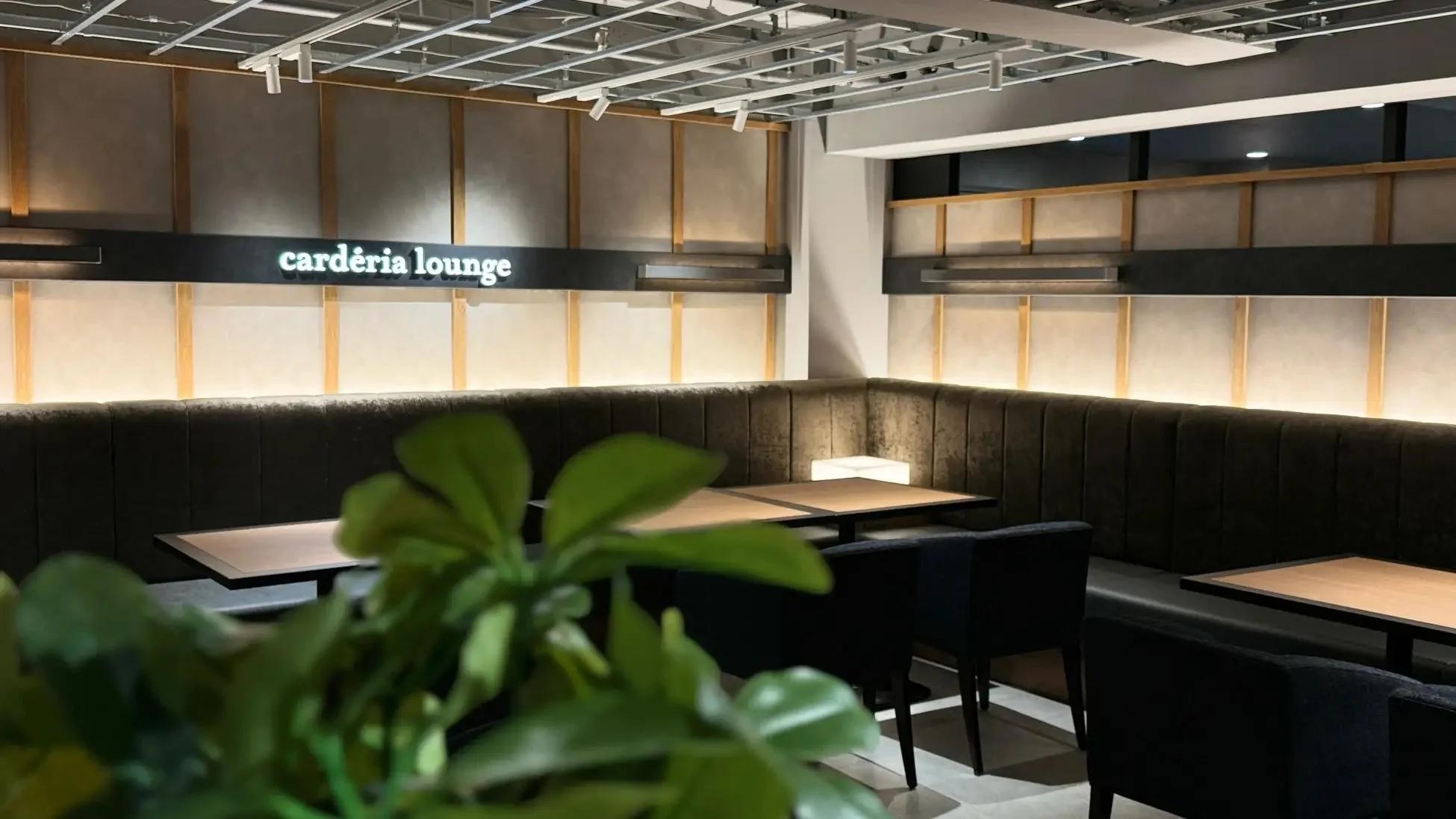 carderia loungeの落ち着いた雰囲気