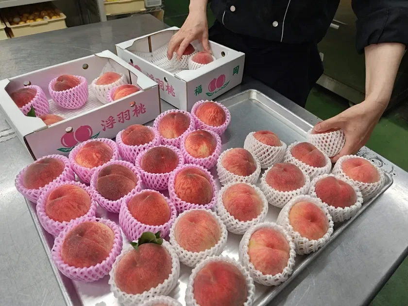 うきはの桃