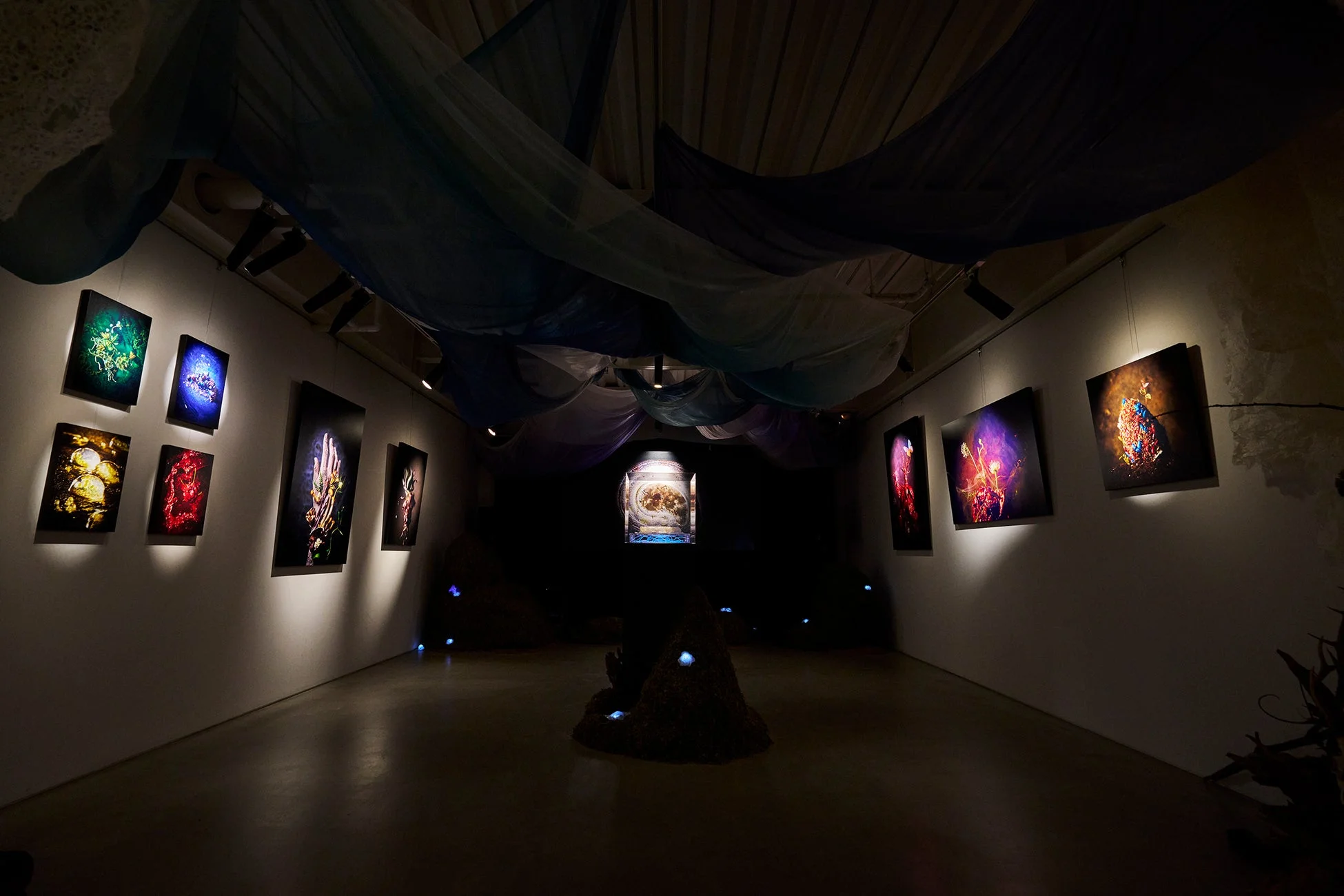 薄暗いギャラリー空間に鮮やかな色彩のアート作品が展示されたインスタレーション
