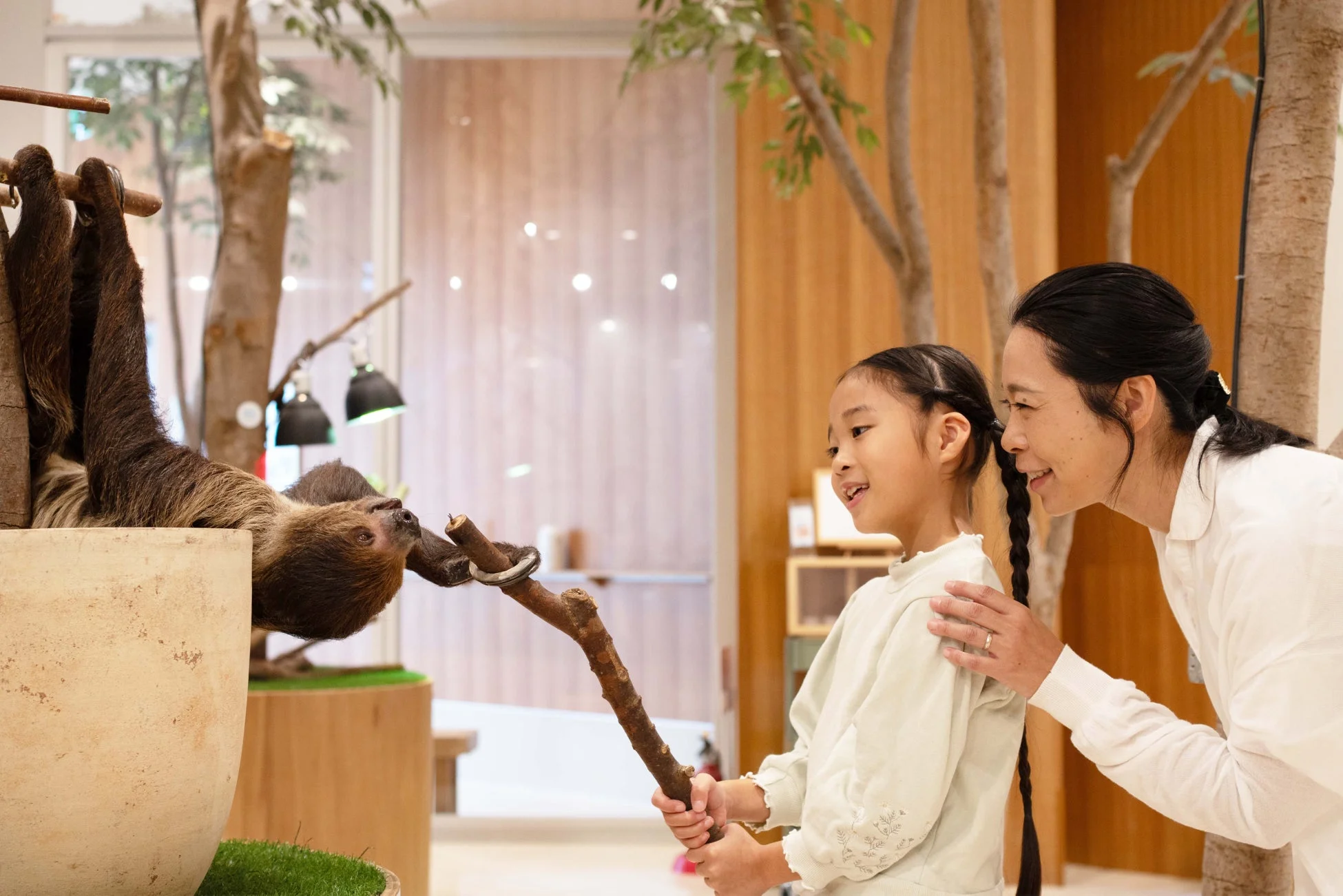 ナマケモノと触れ合う親子