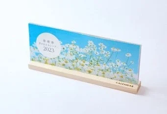 育てる体験型ノベルティ
