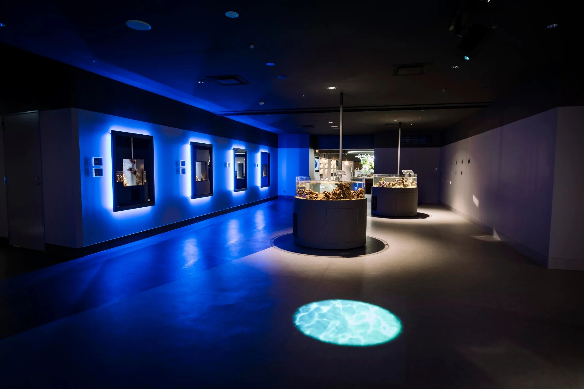 水族館の展示
