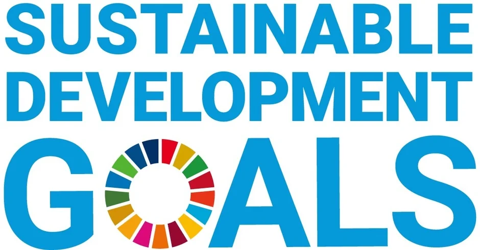 SDGs（持続可能な開発目標）の公式ロゴマーク。17色のカラフルな円形アイコンが特徴的。