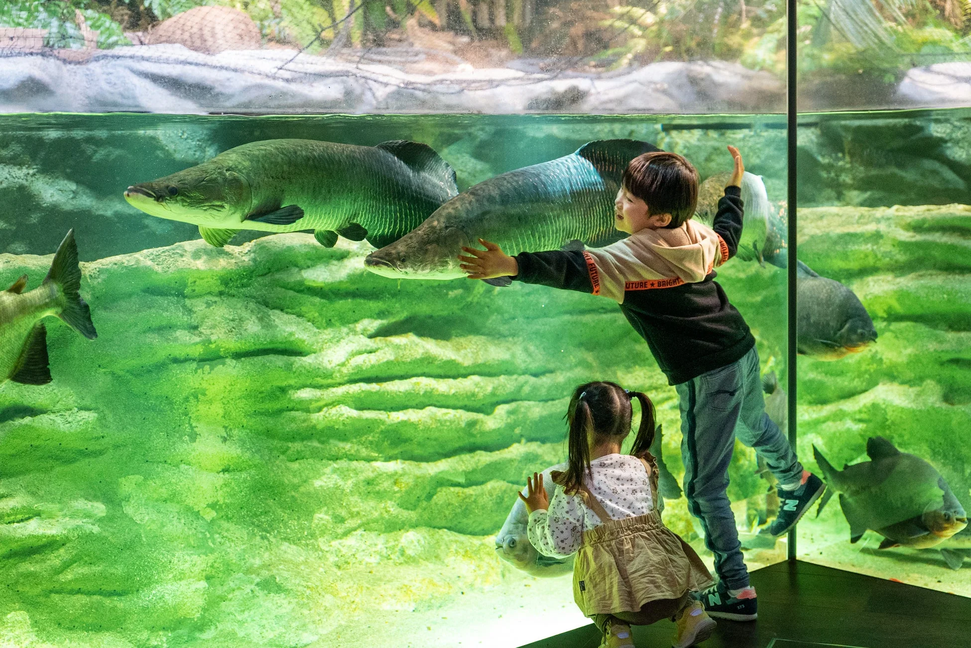 水族館の子供