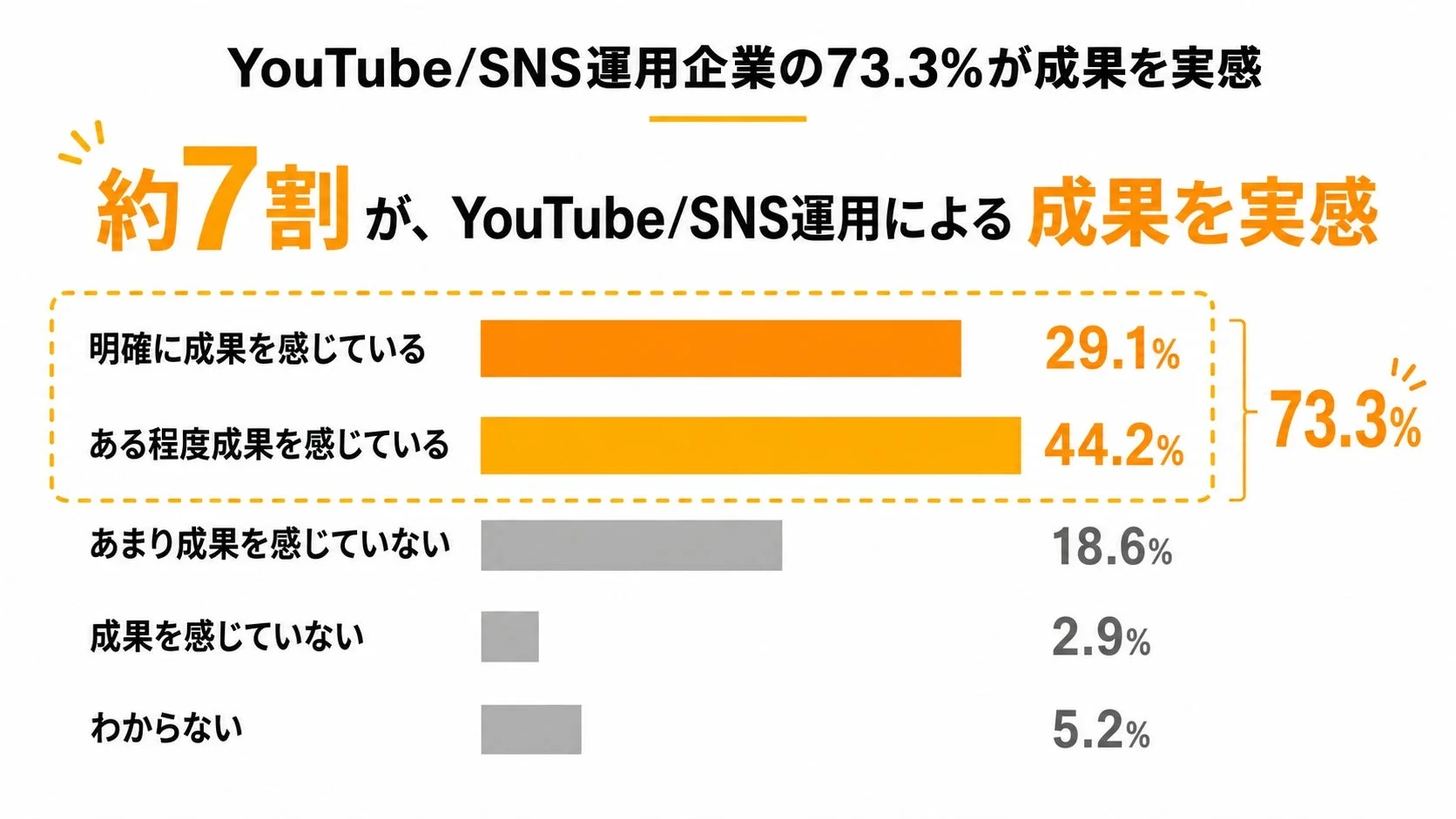 YouTube/SNS運用企業の73.3%が成果を実感
