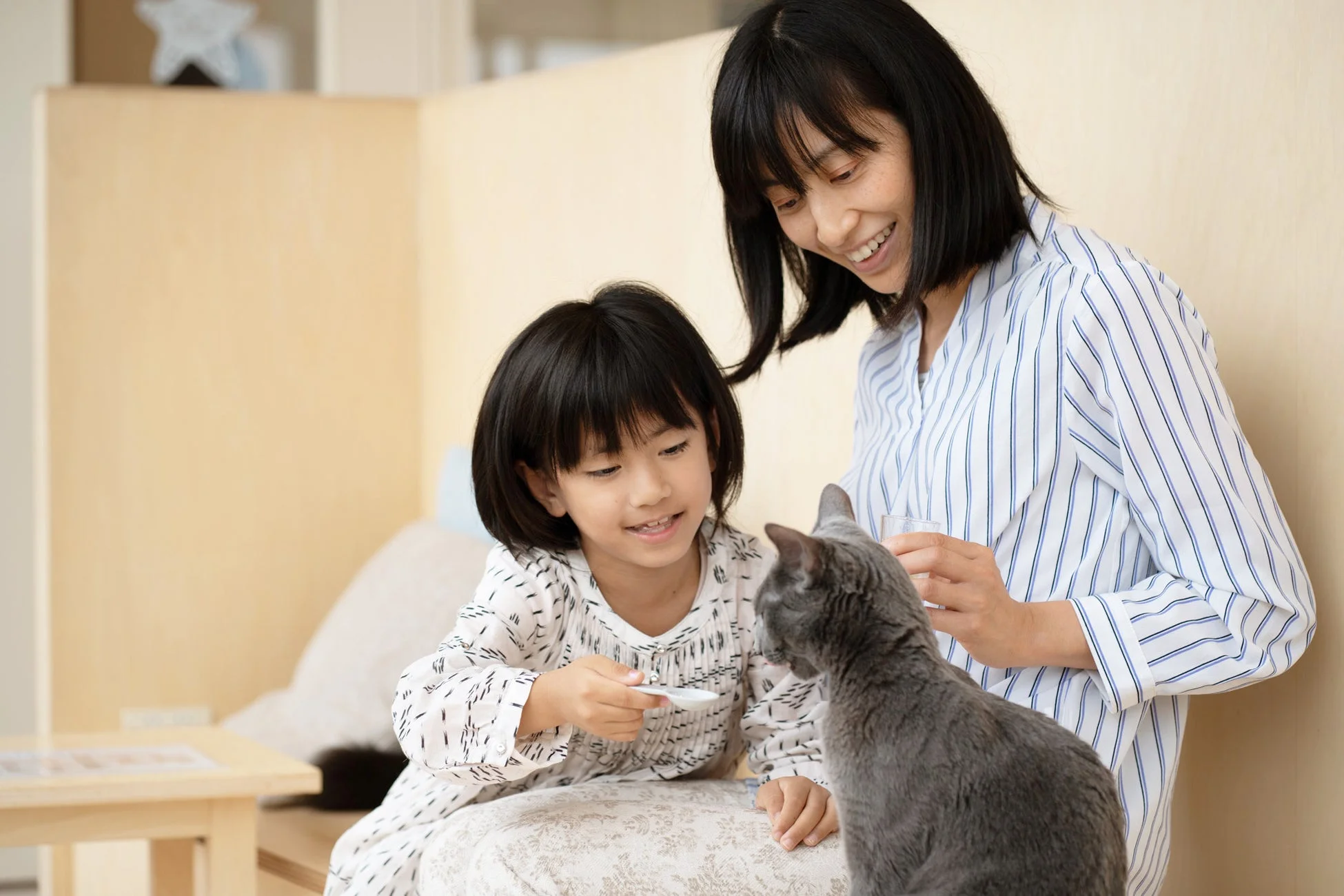 猫と触れ合う家族