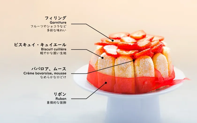 いちごが飾られたシャルロットケーキの構造を説明する画像です。フィリング、ビスキュイ・キュイエール、ババロアまたはムース、リボンの各構成要素とその特徴が日本語と英語で示されています。