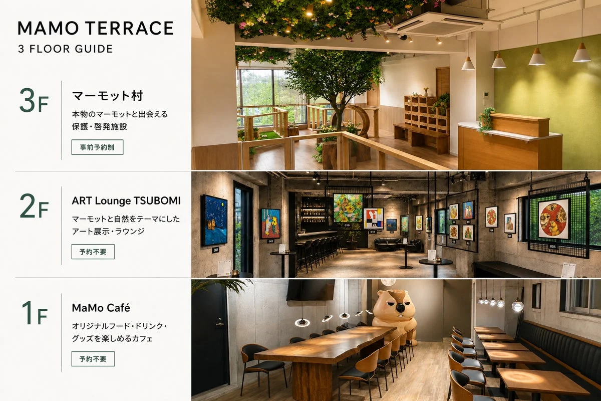 MAMO TERRACEのフロアガイド