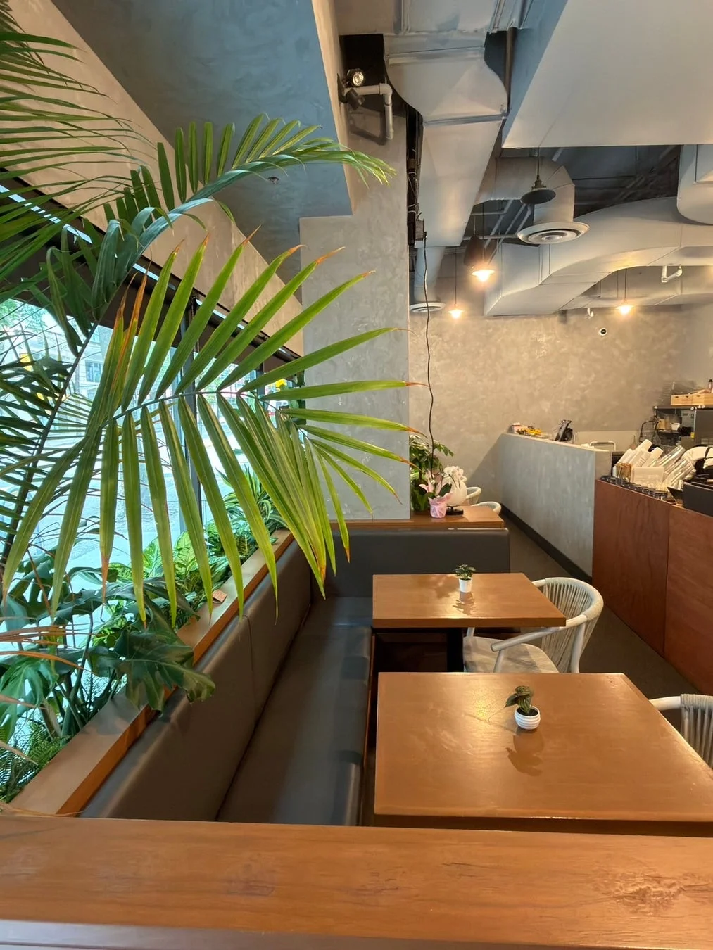 nana's green tea Downtown Vancouver店 店内