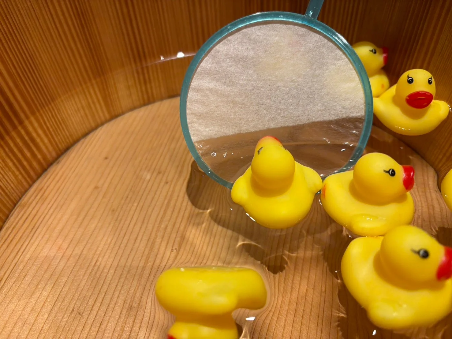 ゴム製のアヒルのお風呂